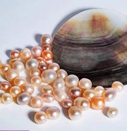 [order from live] ShirleyJewelry wish list